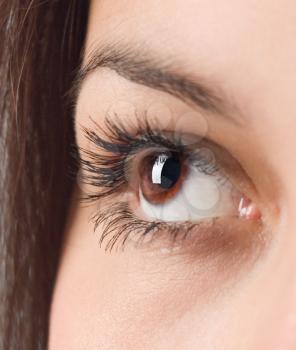 Royalty Free Photo of a Closeup of a Girl's Eye