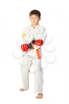 Royalty Free Photo of a Young Boy Doing Martial Arts
