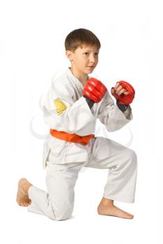 Royalty Free Photo of a Young Boy Doing Martial Arts