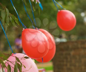 Birthday celebration balloons outdoors with park as backgraund