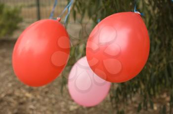 Birthday celebration balloons outdoors with park as backgraund