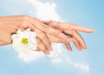 image of beautiful female hands with flower.Focus on the front