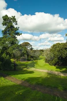 beautiful golf course,
landscape of a green field with trees and a bright blue sky