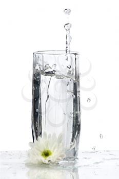 Glass of Water with splash and flower on white background
