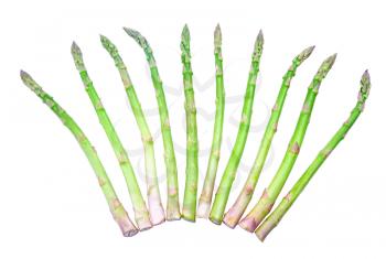 Bunch of Green fresh asparagus isolated on white background 