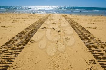 tractor tracks on the golden sand leading into the sea