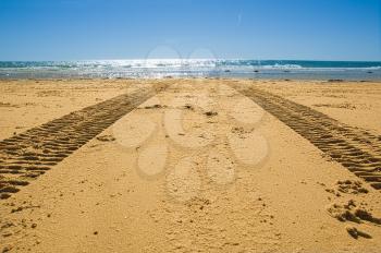 tractor tracks on the golden sand leading into the sea