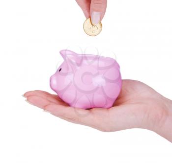 piggy bank and woman hand  isolated on white background