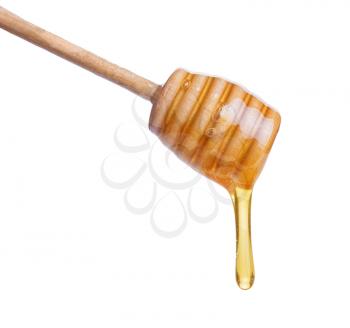Honey dripping from  wooden  stick isolated on white background