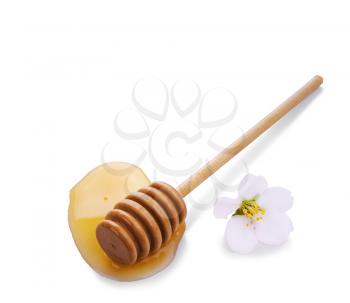 puddle of honey with wooden stick and flower isolated on white background