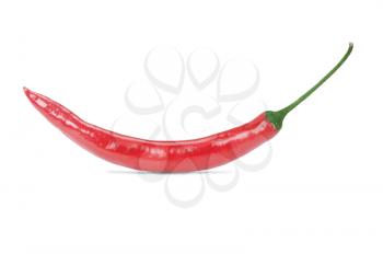 red hot chilli pepper isolated on a white background