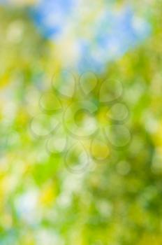 Beautiful summer or spring  abstract natural bokeh background 