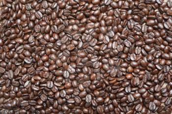 coffee beans as background from good roasted coffee beans 