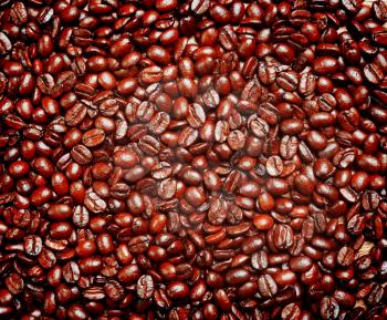coffee beans as background from good roasted coffee beans 