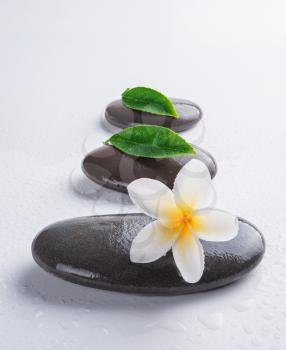 zen stones with frangipani flower on white  background