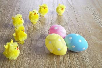 multicolored easter eggs and chickens on wooden background