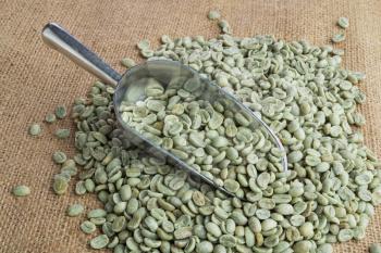 
Green coffee beans in metal scoop on burlap surface