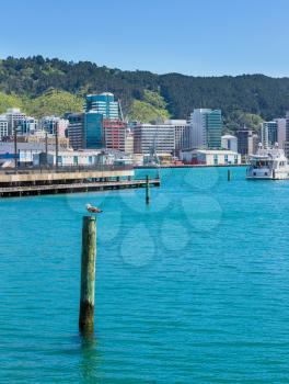 Wellington, capital city of New Zealand,  fragment  city skyline  from the sea 