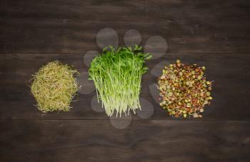 alfalfa,snow peas and lentils sprouts on vintage wooden background