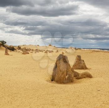 Yellow sand dunes and  limestone  pillars  Pinnacles Desert in the Nambung National Park, Western Australia.
