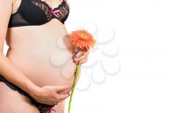 Royalty Free Photo of a Pregnant Woman Holding a Flower