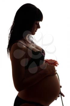 Royalty Free Photo of a Pregnant Woman in Profile Holding a Flower