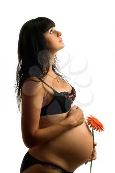 Royalty Free Photo of a Pregnant Woman Holding a Flower