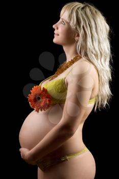 Royalty Free Photo of a Pregnant Woman With a Flower
