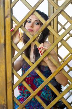Pretty young brunette behind a wooden lattice