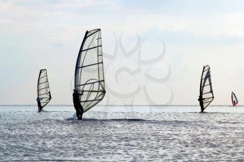 Silhouettes of a four windsurfers on the water surface