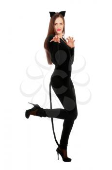 Playful young woman dressed as a cat. Isolated