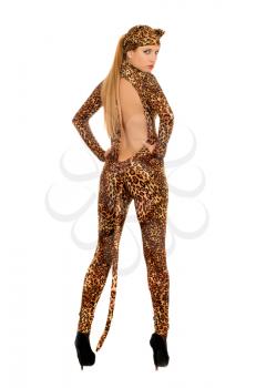 Sexy young woman dressed as a leopard. Isolated