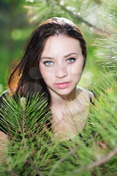 Pretty brunette posing in the branches of pine tree