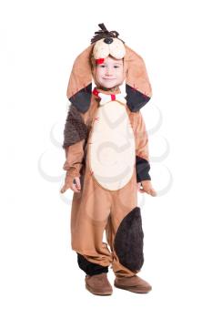 Little boy in a dog costume. Isolated on white