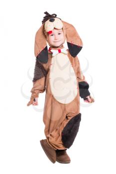Funny little boy posing in a dog costume. Isolated on white
