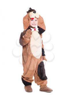 Cheerful little boy posing in a dog costume. Isolated on white