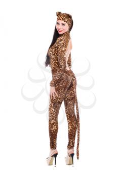 Beautiful young woman dressed as leopard. Isolated on white
