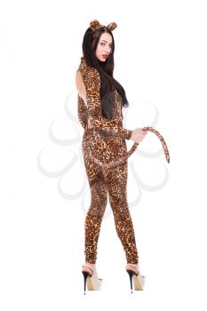 Playful young brunette dressed as leopard. Isolated on white