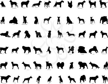 Royalty Free Clipart Image of Dog Silhouettes