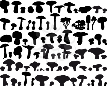 Royalty Free Clipart Image of Fungus Silhouettes