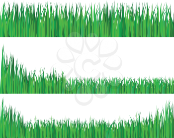 Royalty Free Clipart Image of a Set of Grass