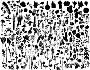 Royalty Free Clipart Image of Plant Silhouettes