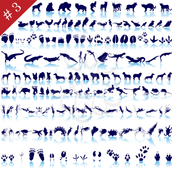 Set of  different animals, birds, insects and fishes  vector silhouettes 