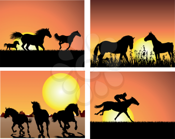 Set of horse silhouette on sunset background. Vector illustration.