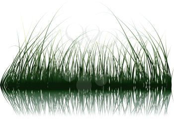 Vector grass silhouettes background with reflection in water. All objects are separated.