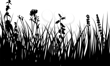 Vector grass silhouettes background for design use