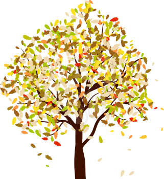 Autumn oak tree with falling leaves. Vector illustration.