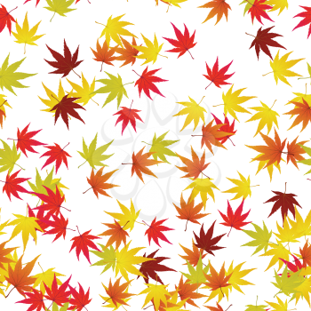 Seamless pattern of autumn  maples leaves. Vector illustration.