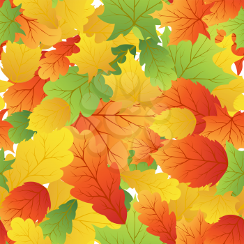 Autumn maples leaves seamless background. Vector illustration.