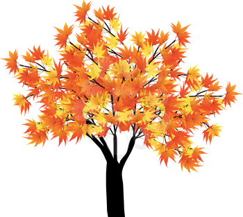 Pattern of autumn  maples leaves on tree. Vector illustration.